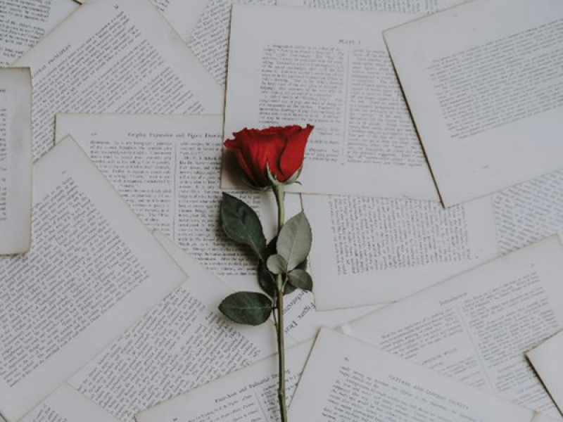 Jokes on you (Slowed) (Single)