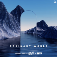 Ordinary World (Single)