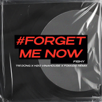 Forget Me Now (Remix) (Single)