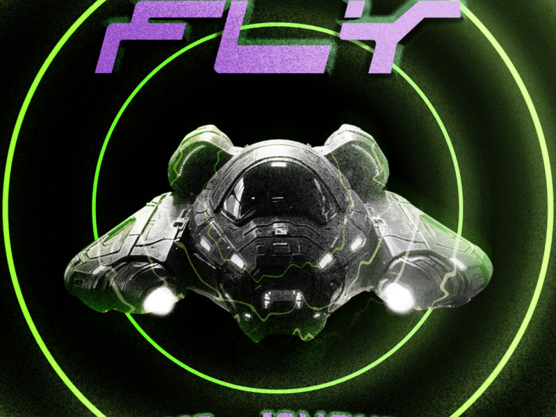 Fly (Single)