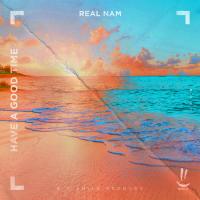 Have a Good Time (Single)