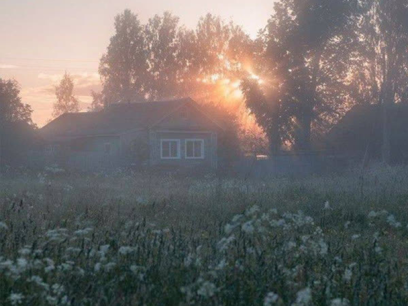 recover.exe (Single)