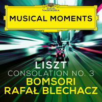 Liszt: Consolations, S. 172: No. 3 Lento placido in D Flat Major (Transcr. Milstein for Violin and Piano) (Musical Moments) (Single)