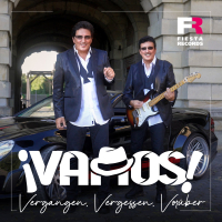 Vergangen, Vergessen, Vorüber (Single)