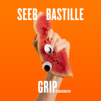 Grip (Jay Pryor Remix) (Single)