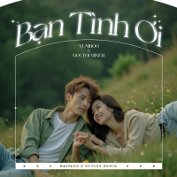 Bạn Tình Ơi (Haiyang x HyyLee Remix) (Single)