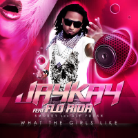 What The Girls Like (Hard Dance Alliance Mix) (Single)