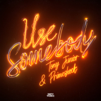 Use Somebody (Single)