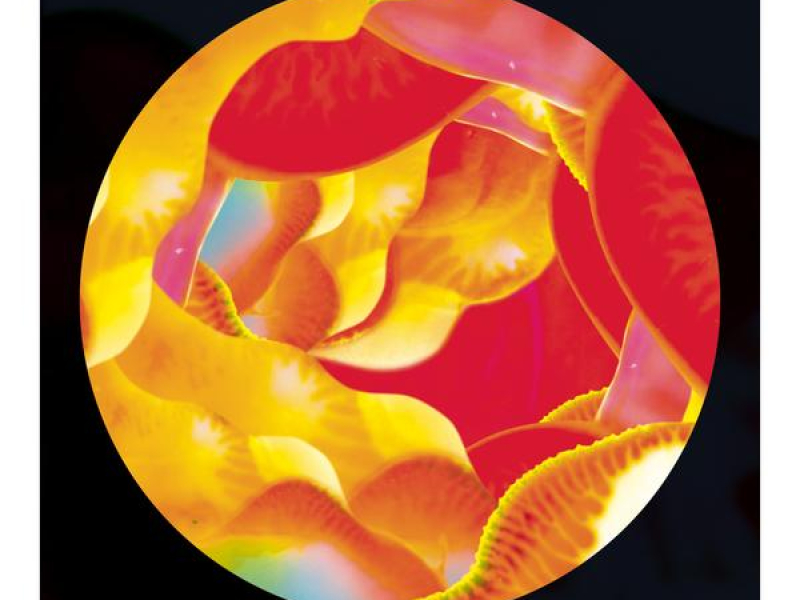 Namaste (Drones Club Black Country Transcendental Mix)