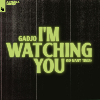 I'm Watching You (So Many Times) (Single)