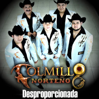 Desproporcionada (Single)