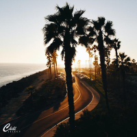 Chill Vibes (Single)