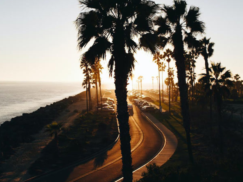 Chill Vibes (Single)