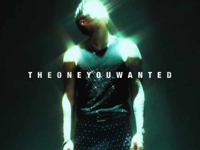 THE ONE YOU WANTED
