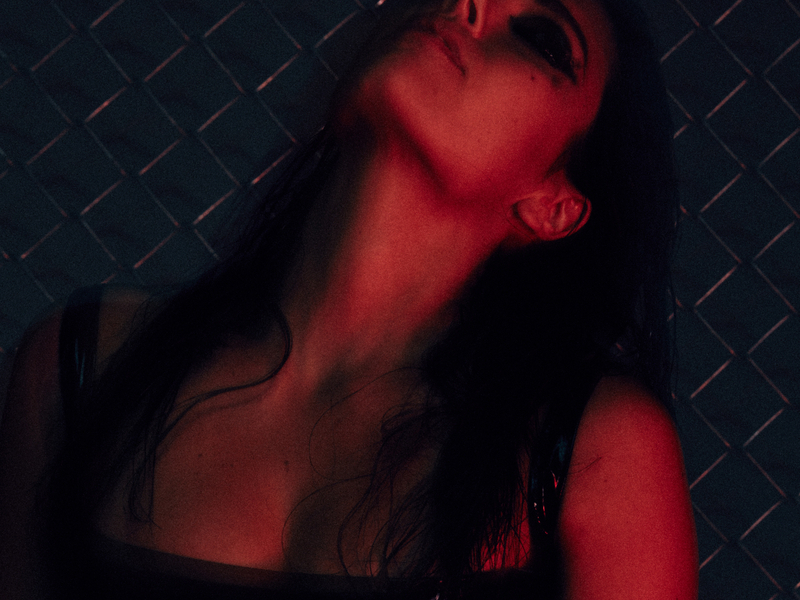 Hero (Friend Within Remix) (Single)