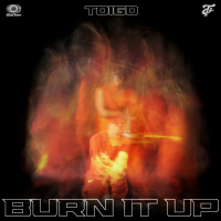 BURN IT UP (Single)