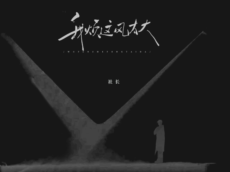 我烦这风太大 (Single)