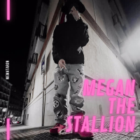 MEGAN THE STALLION (Single)