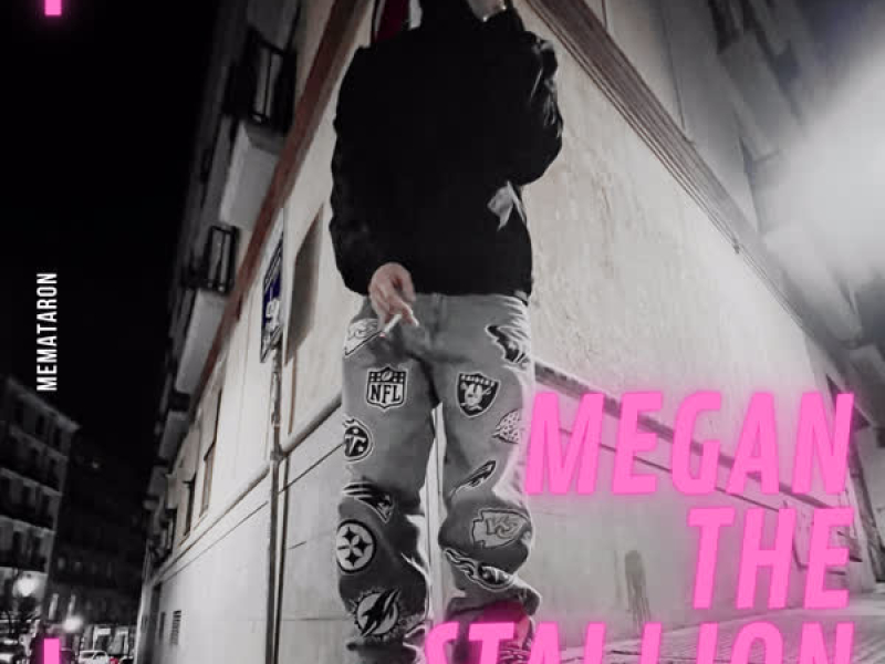 MEGAN THE STALLION (Single)