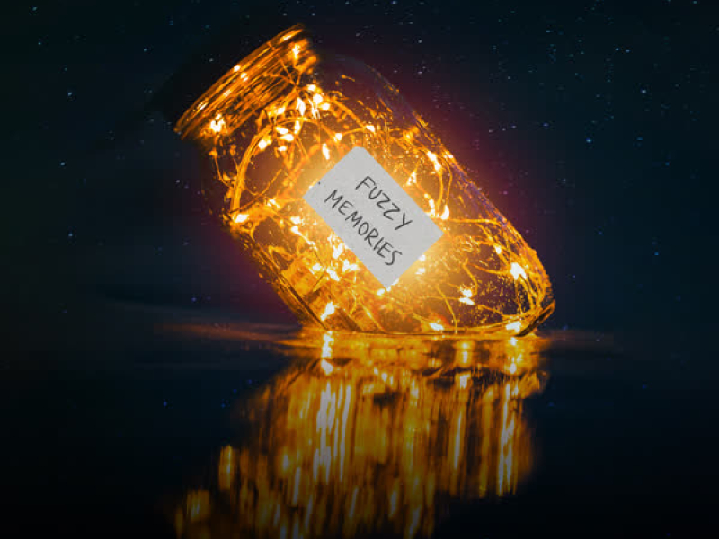 Fuzzy Memories (Single)