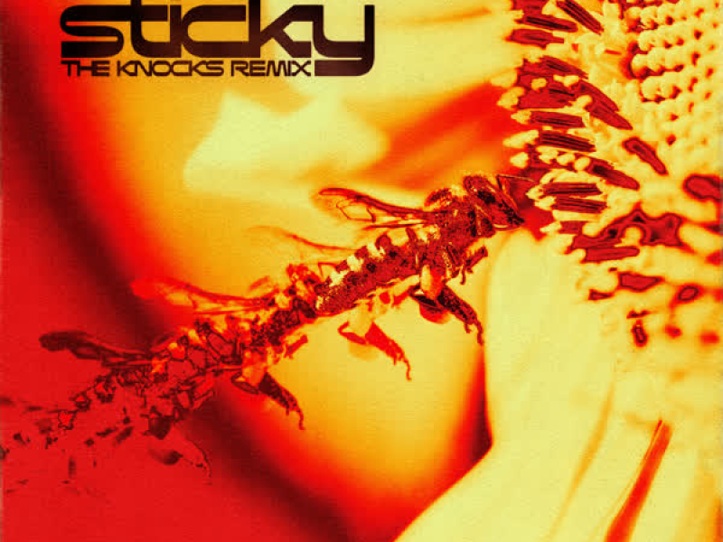 Sticky (The Knocks Remix) (Single)