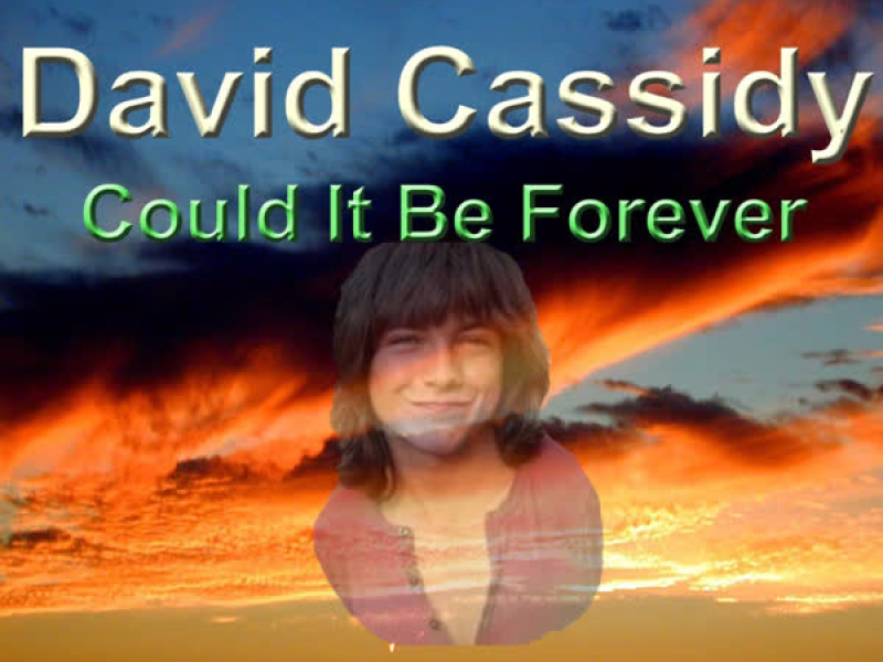 Could It Be Forever