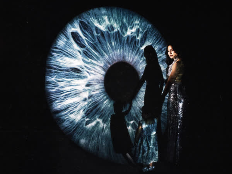 In Her Eyes (Single)