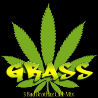 Grass (feat. 2da West) (3 Bad Brothaz Club Mix) (Single)