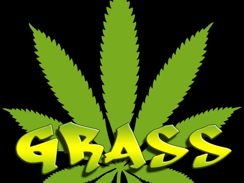 Grass (feat. 2da West) (3 Bad Brothaz Club Mix) (Single)