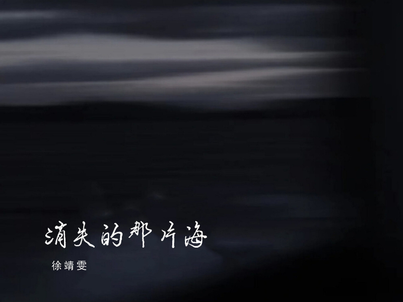 消失的那片海 (Single)