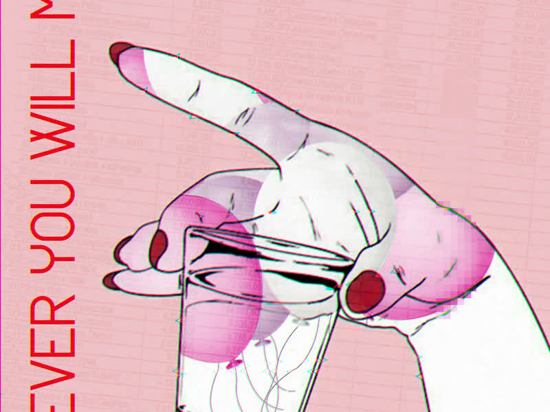 Never You Will Me (Single)