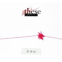 anti-these (Shotaisaku)