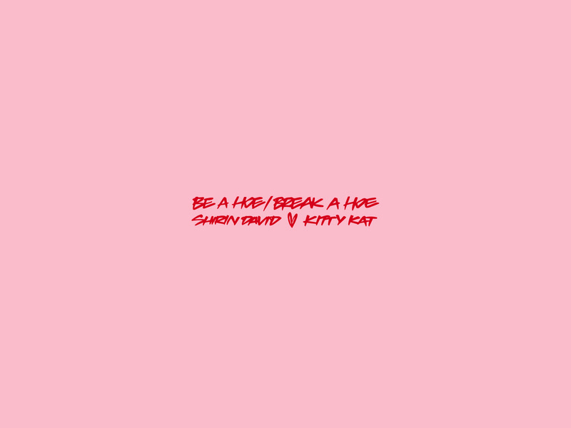 Be a Hoe/Break a Hoe (Single)