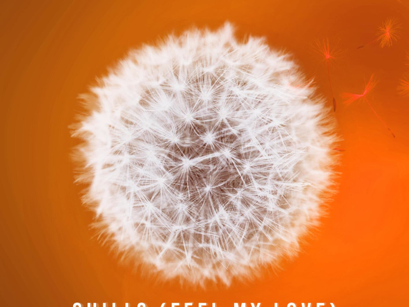 Chills (Feel My Love) (Acoustic) (Single)