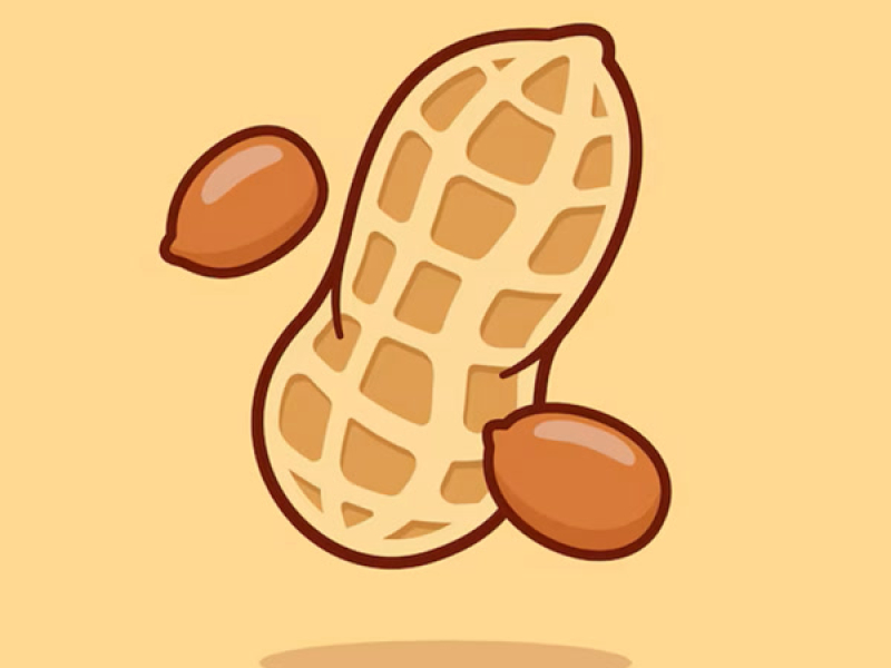 white peanut (Single)