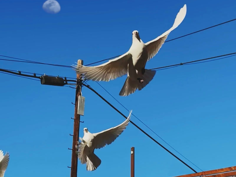 your name forever (Single)