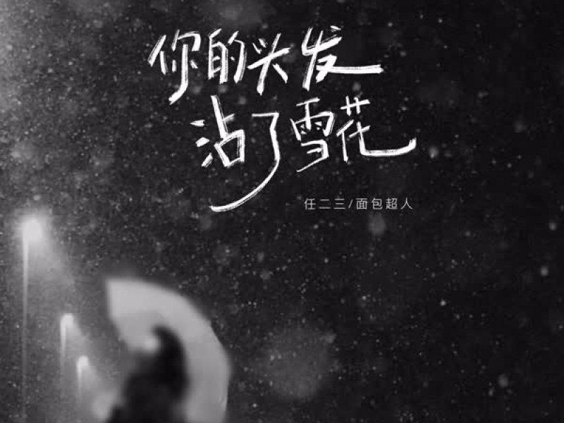 你的头发沾了雪花 (Single)