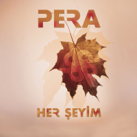 Her Şeyim (Single)