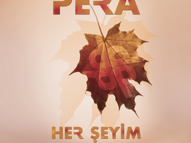 Her Şeyim (Single)