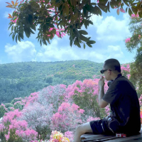 Đừng Tìm Lại Nhau (Single)