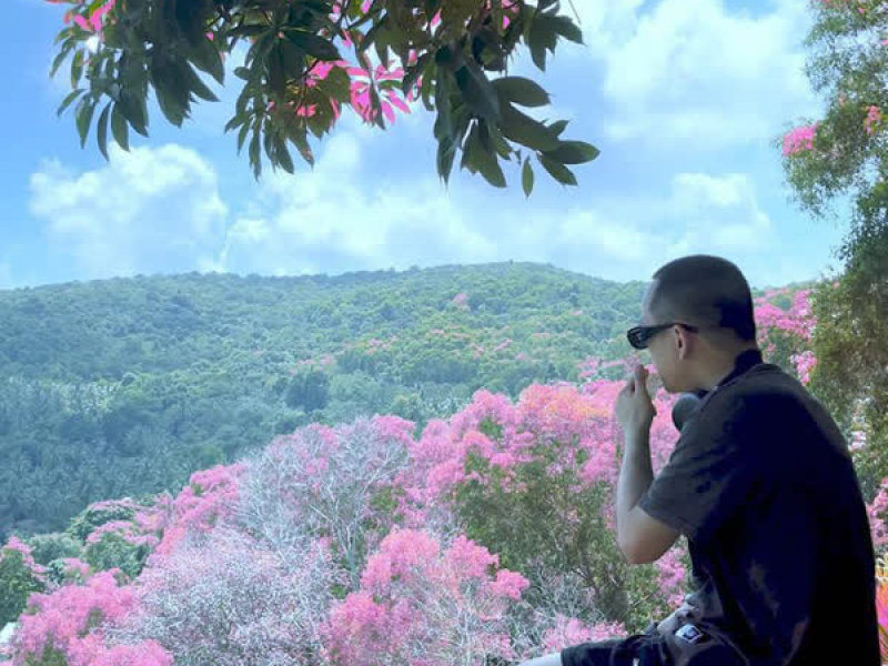 Đừng Tìm Lại Nhau (Single)