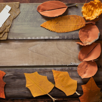 Syksy saapuu (Single)