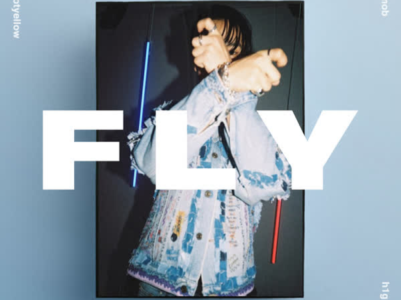 FLY (Single)