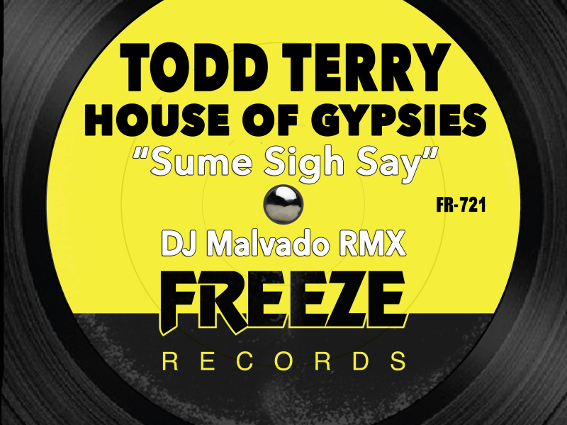 Sume Sigh Say (DJ Malvado RMX) (Single)
