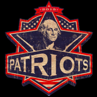 Patriots 2015 (Single)