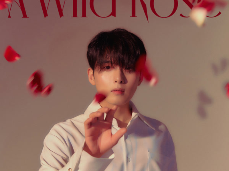 A Wild Rose - The 3rd Mini Album