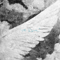 The Dove (Live) (Single)