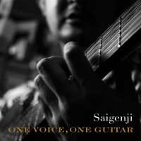 ONE VOICE, ONE GUITAR