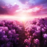 Запах Сирени (Single)