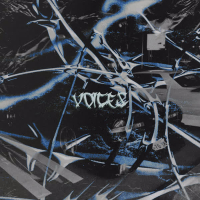 Voices (Sped Up + Extended) (Single)